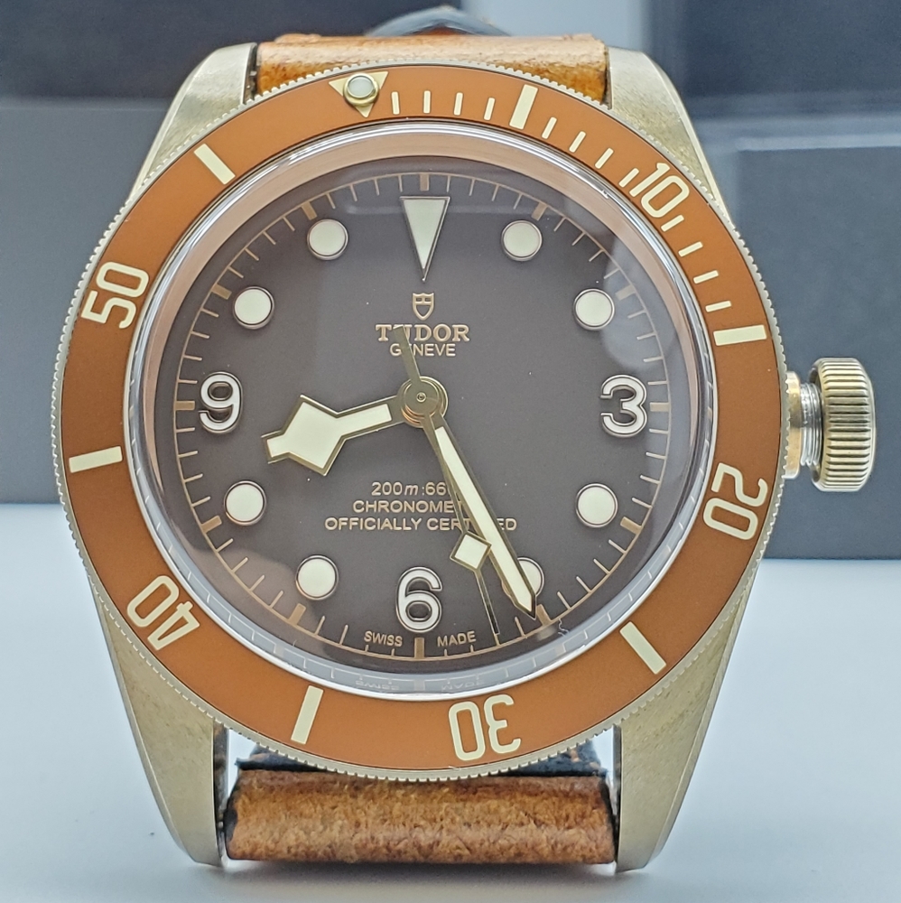 Tudor Heritage Black Bay 79250BM Bronze